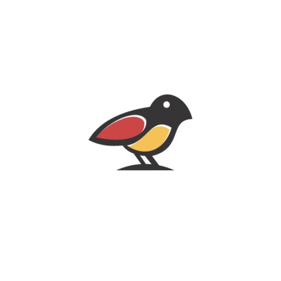 msorondostudio